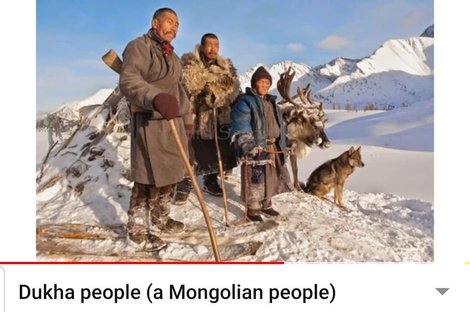 Монгол Чонон дүрст Нохой