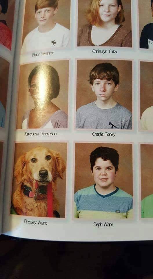 Нохойны зургийг ангийн Монтажинд оруулсан сонирхолтой түүх...
